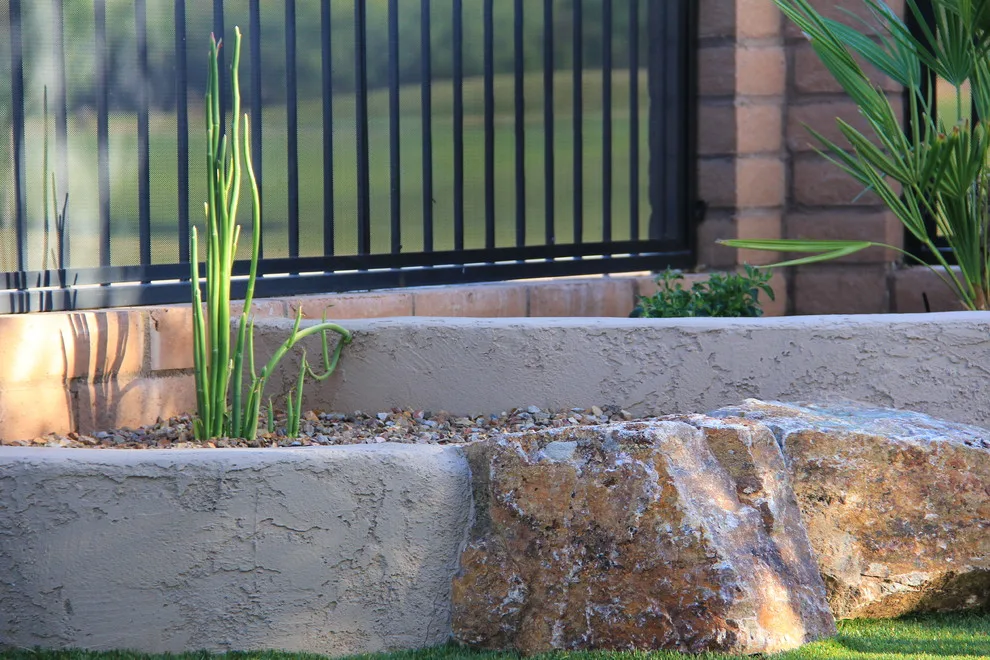 Jade Tucson by Santa Rita Landscaping, Inc. - Photo 23