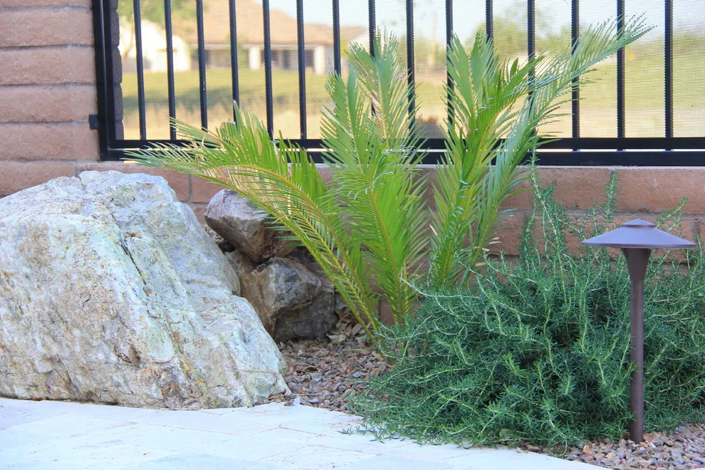 Jade Tucson by Santa Rita Landscaping, Inc. - Photo 24