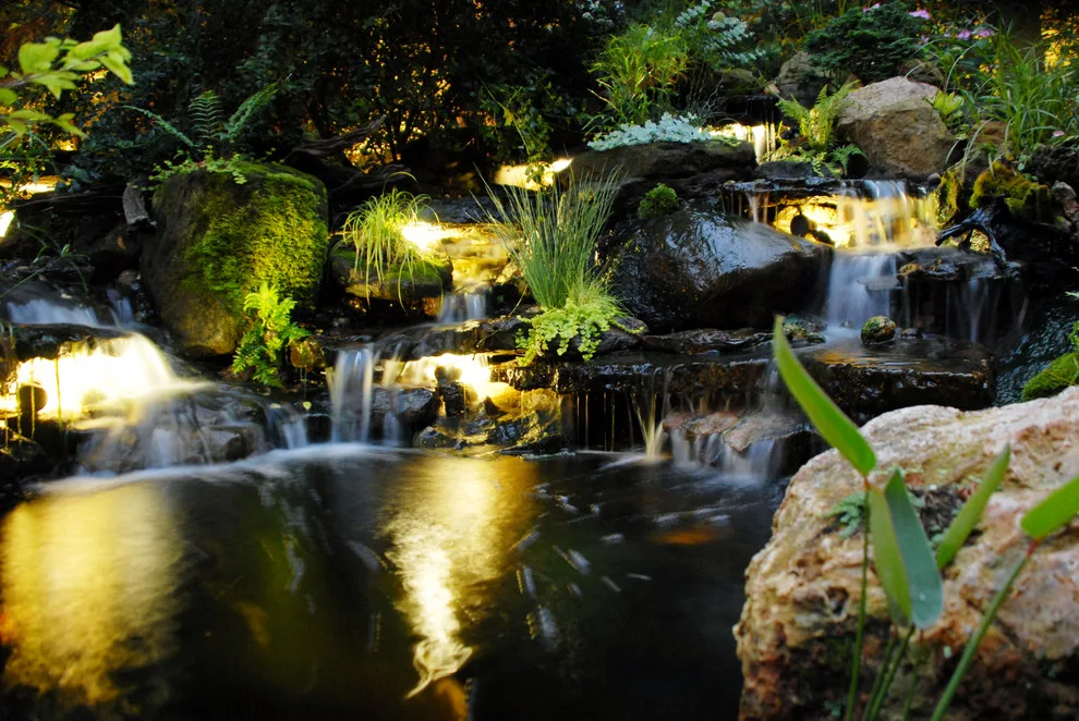 Nurture by Landscapes By Dallas Foster, Inc - Photo 2