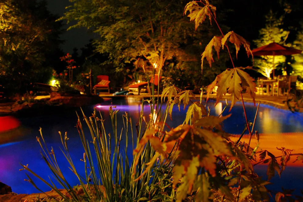 Nurture by Landscapes By Dallas Foster, Inc - Photo 13