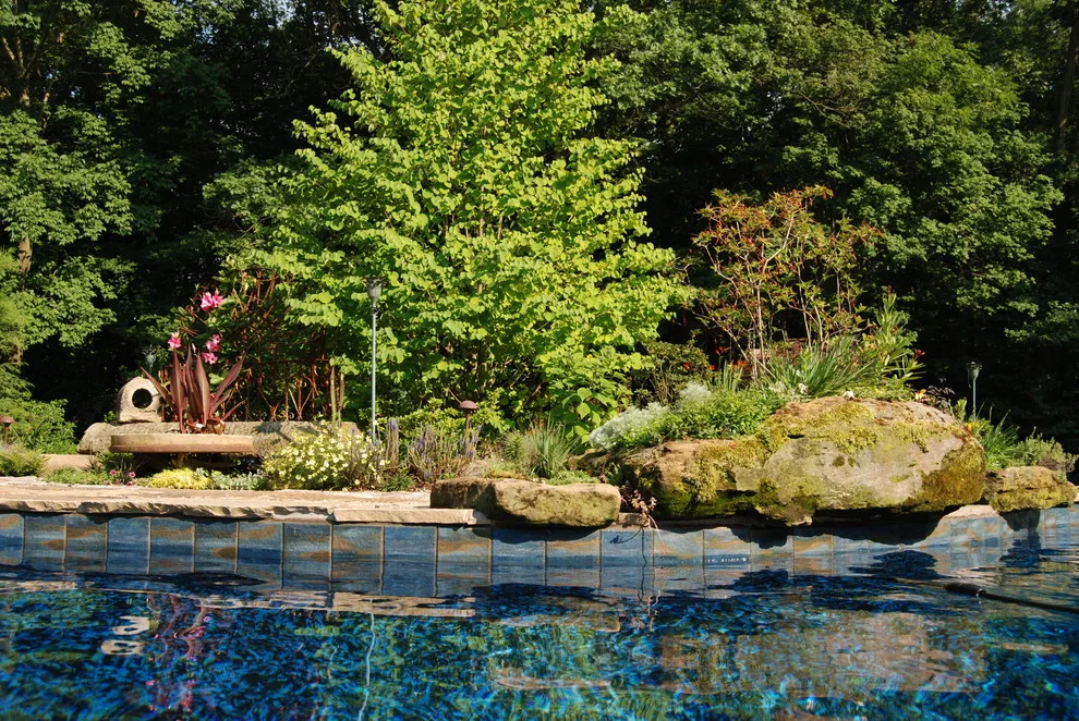 Nurture by Landscapes By Dallas Foster, Inc - Photo 8