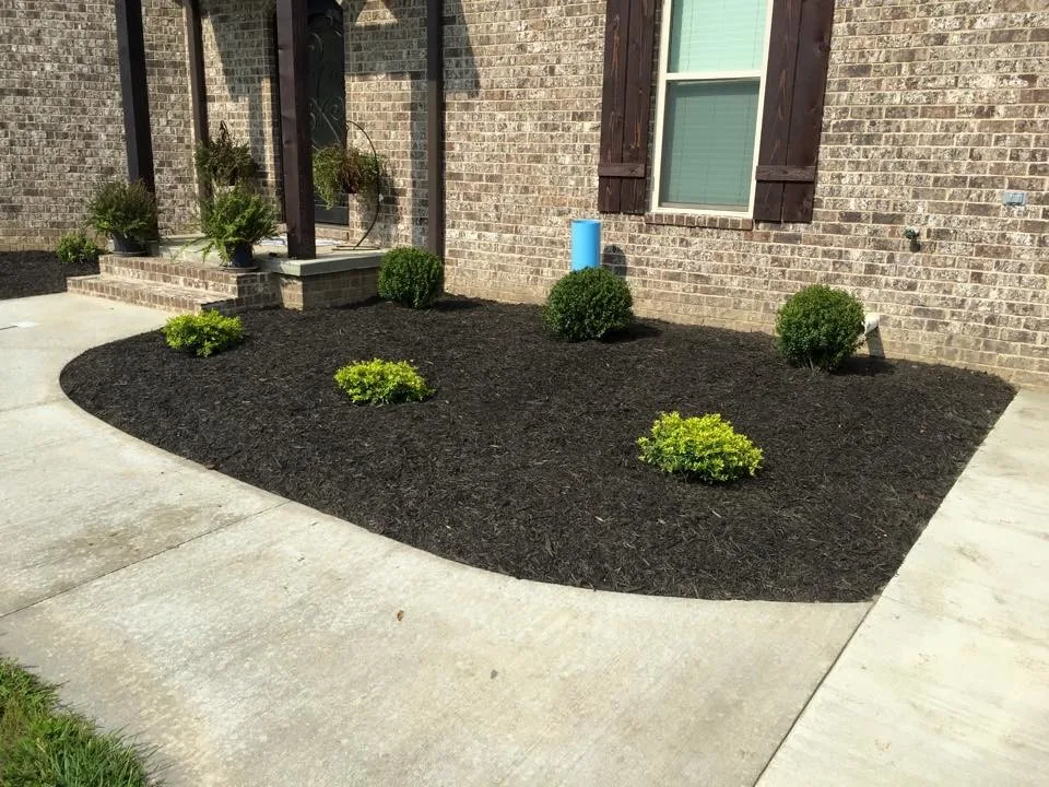 Dotson Landscaping - Photo 3