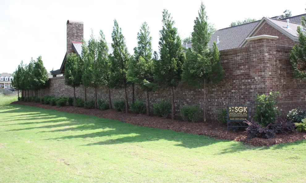 Henry's Home by SGK Landscapes - Photo 11