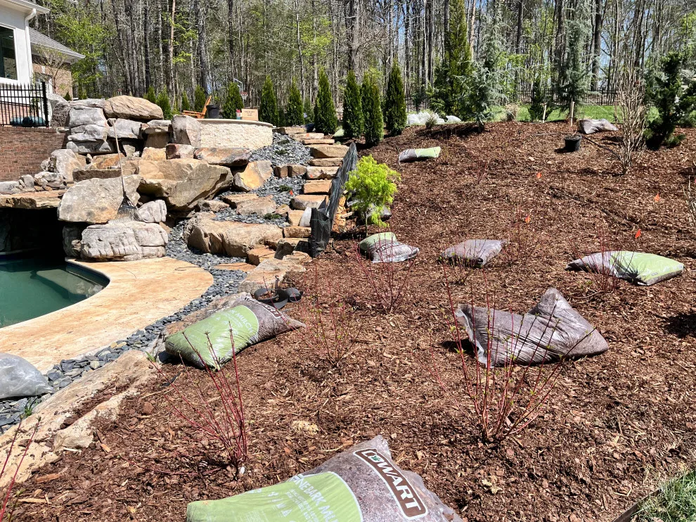 Poolside Landscape Installation by Crider Landscaping - Photo 4