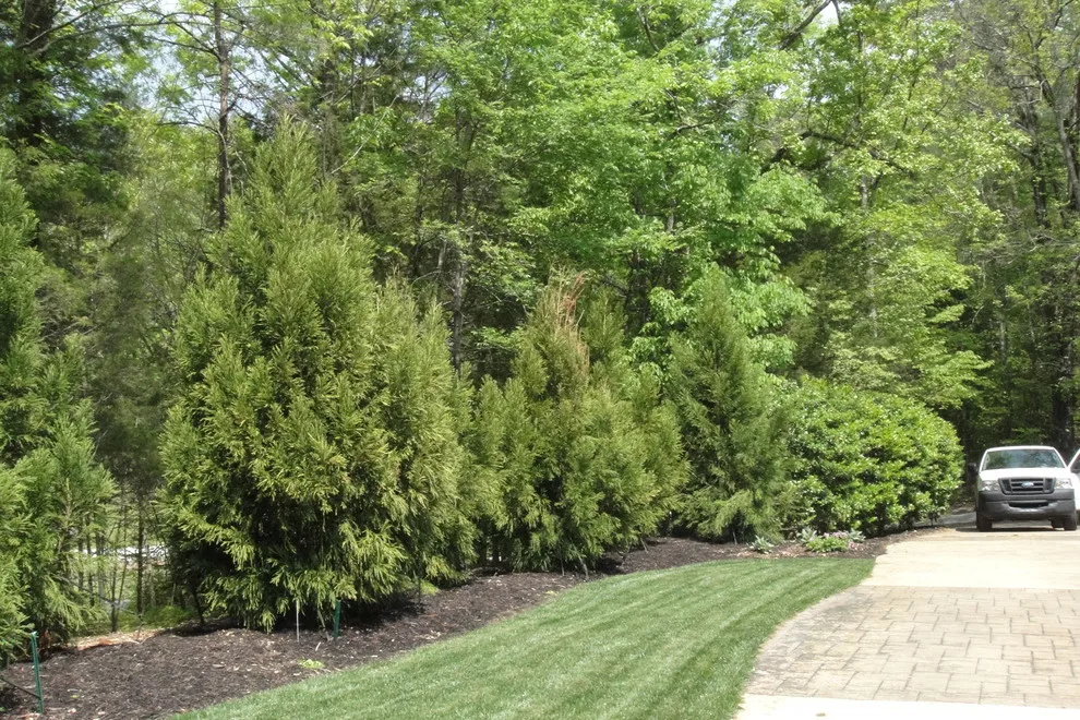 Metro Lawn Care - Photo 12