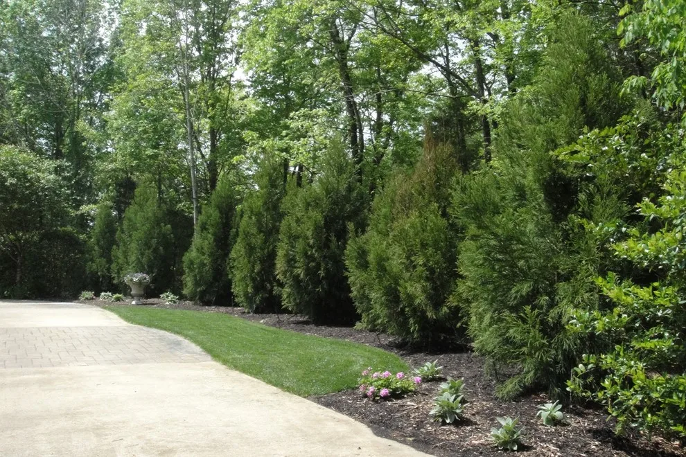 Metro Lawn Care - Photo 3