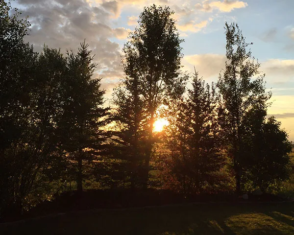 O'Brien Landscaping Inc. - Photo 9