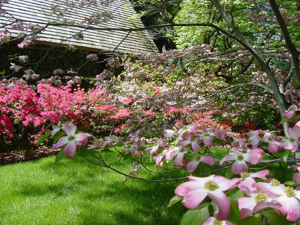 Garden Design by Kingdom Landscape - Photo 7