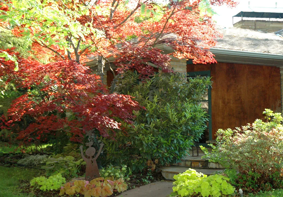 Garden Design by Kingdom Landscape - Photo 8