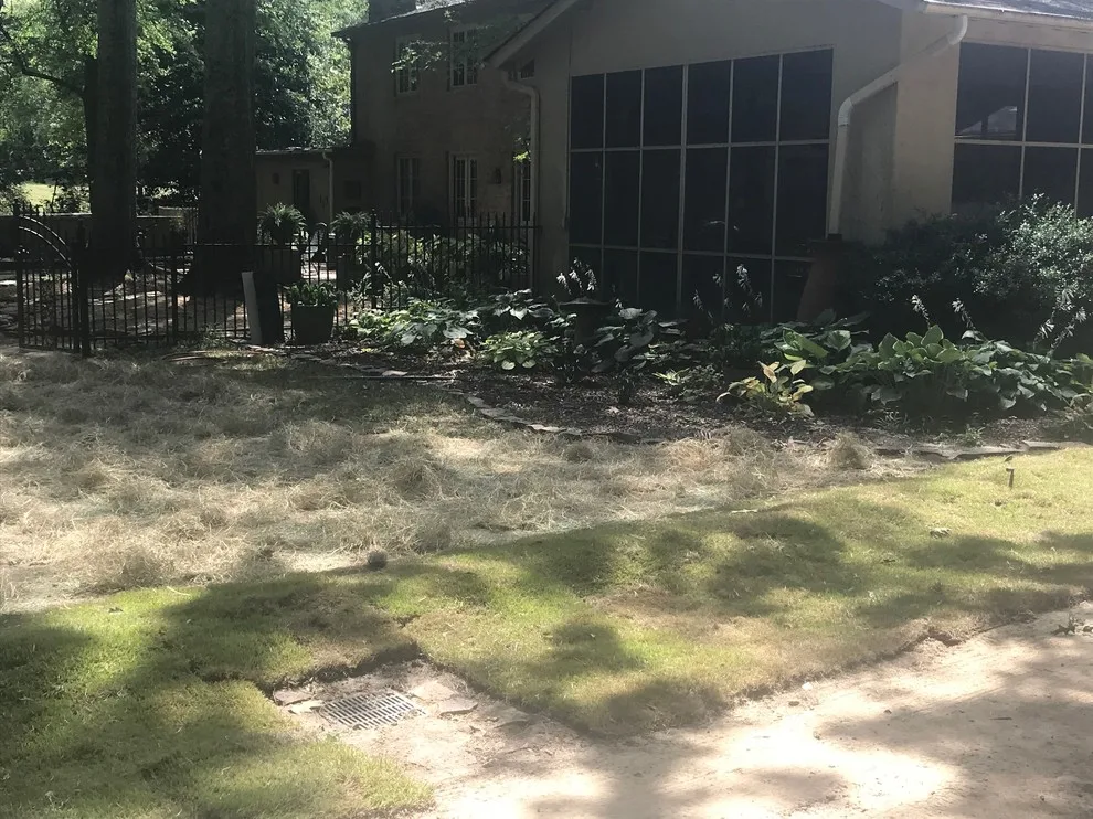 Major Drainage Initiative by Mid-South Curb Appeal, LLC - Photo 12