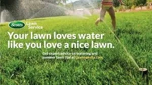 Scotts Lawn Service Of Amarillo - Photo 10