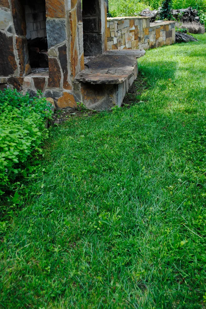Scenic Initiative by Crider Landscaping - Photo 17