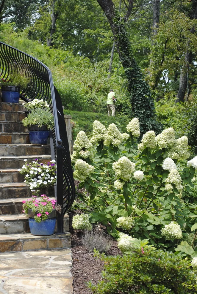 Scenic Initiative by Crider Landscaping - Photo 16