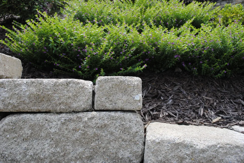 Scenic Initiative by Crider Landscaping - Photo 21