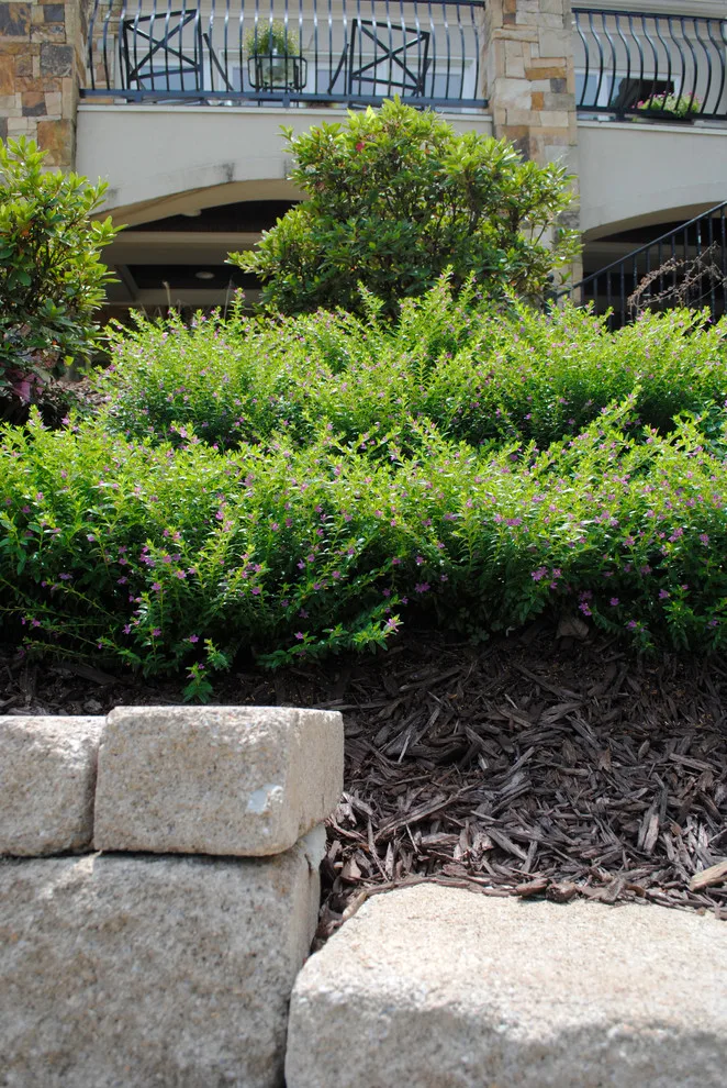Scenic Initiative by Crider Landscaping - Photo 7