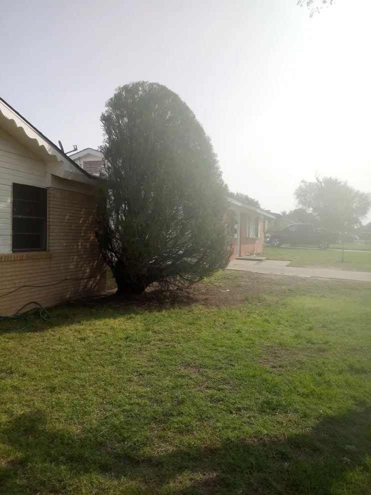 Mayes & Sons Lawn Care - Photo 6