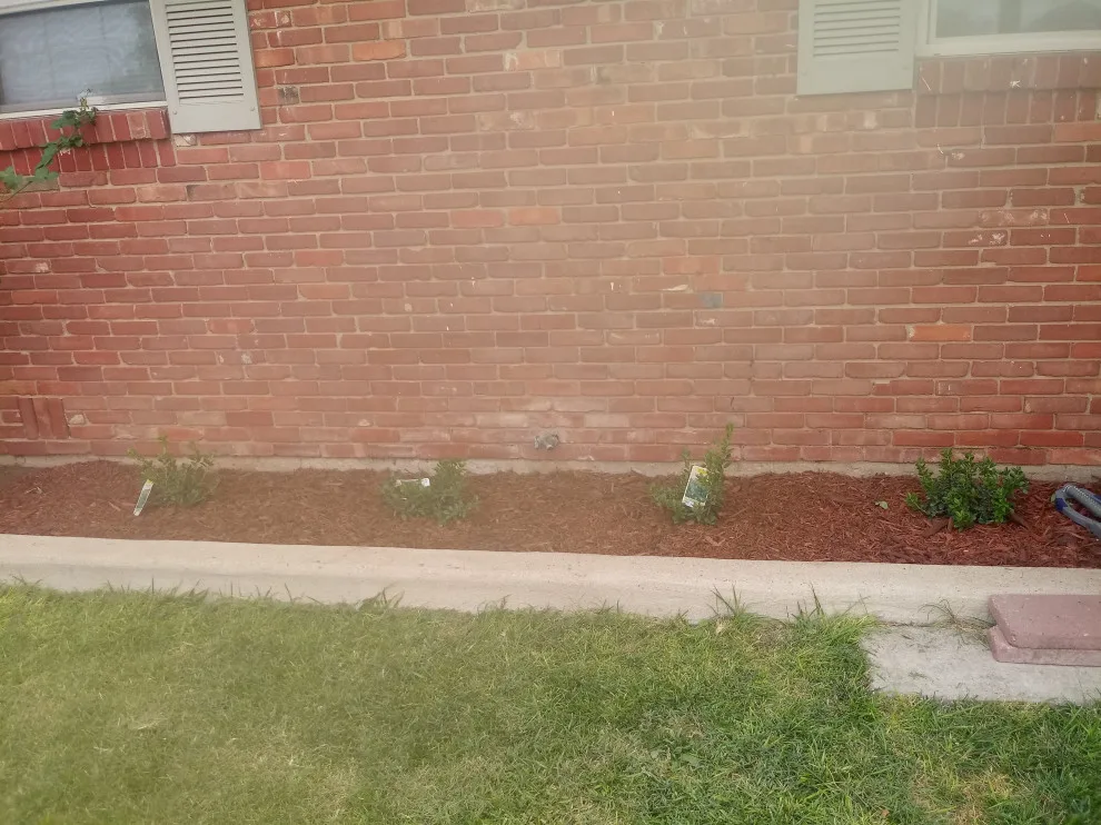 Mayes & Sons Lawn Care - Photo 3