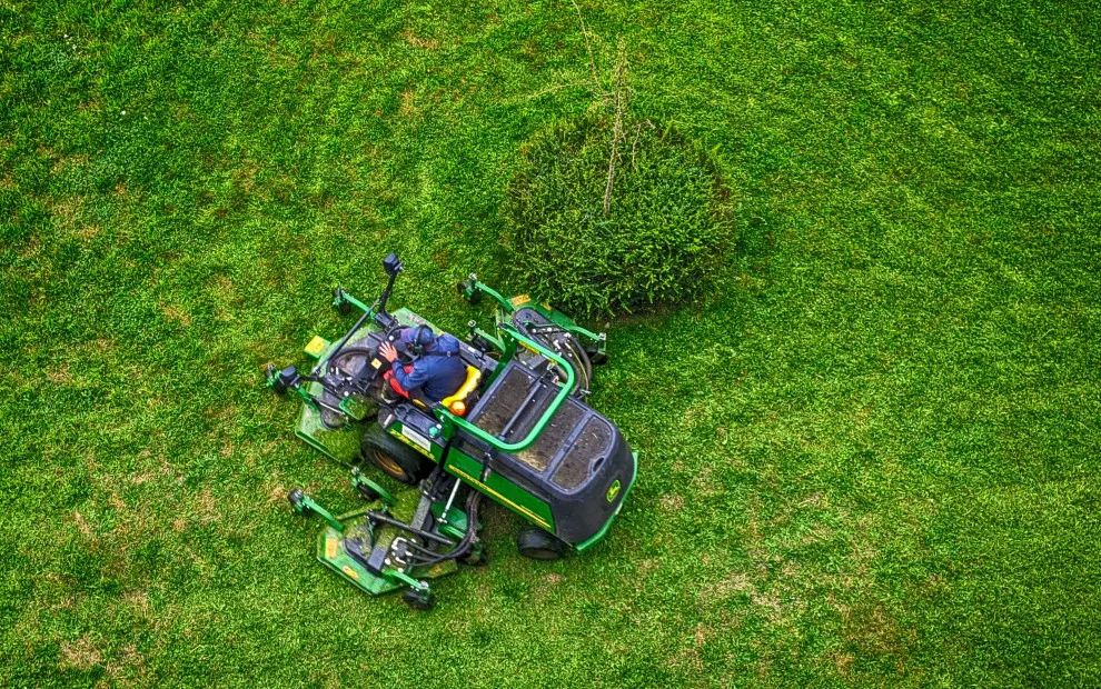 DP Landscaping Pocatello - Photo 10