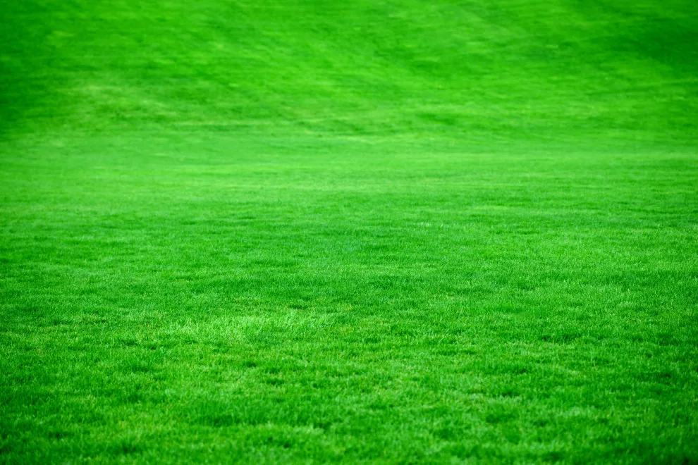 DP Landscaping Pocatello - Photo 4