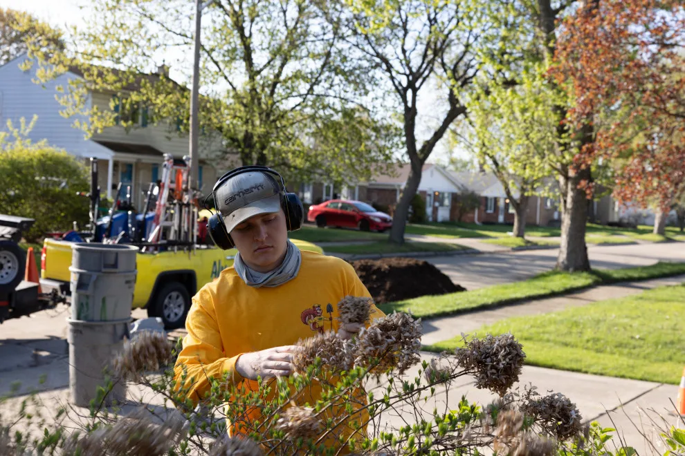 Lawnade Lawn Care Service - Photo 7