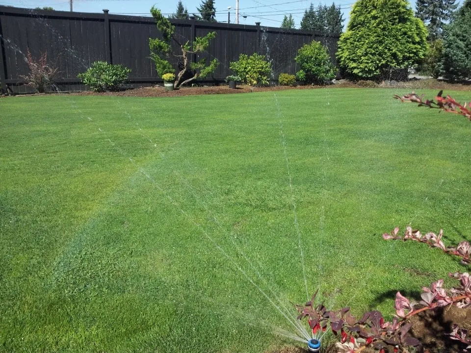 Watered Grassy Areas by Choice Landscapes LLC - Photo 2