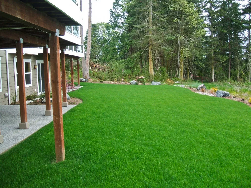 Watered Grassy Areas by Choice Landscapes LLC - Photo 3
