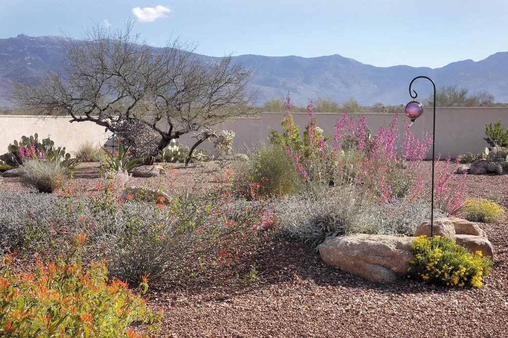 Our outdoor designs by Sonoran Gardens Landscape, Design & Construction - Photo 18