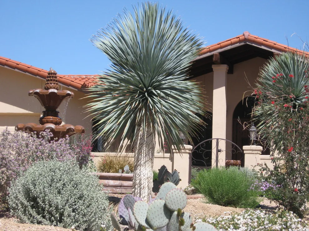 Our outdoor designs by Sonoran Gardens Landscape, Design & Construction - Photo 23