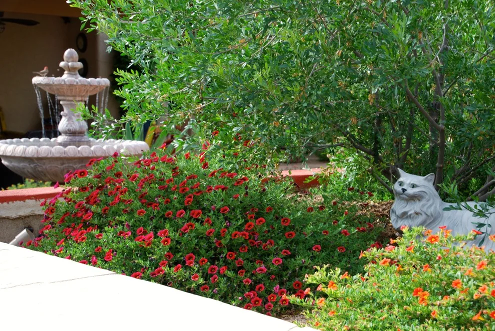Our outdoor designs by Sonoran Gardens Landscape, Design & Construction - Photo 27