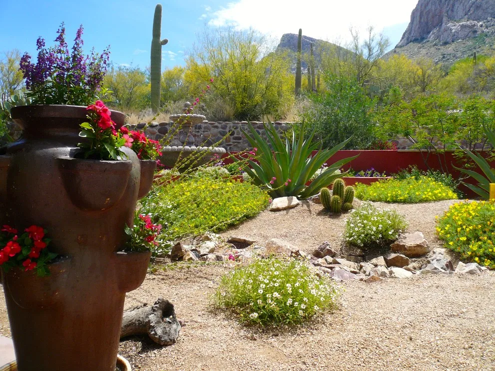 Our outdoor designs by Sonoran Gardens Landscape, Design & Construction - Photo 2