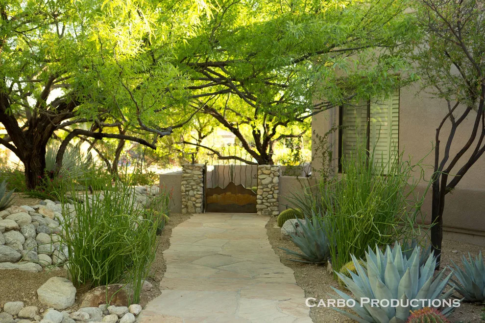 Our outdoor designs by Sonoran Gardens Landscape, Design & Construction - Photo 11