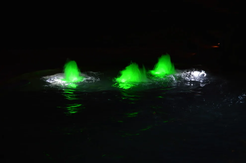 Outdoor Illumination by Kaylor Landscape + Christmas Decor - Photo 6