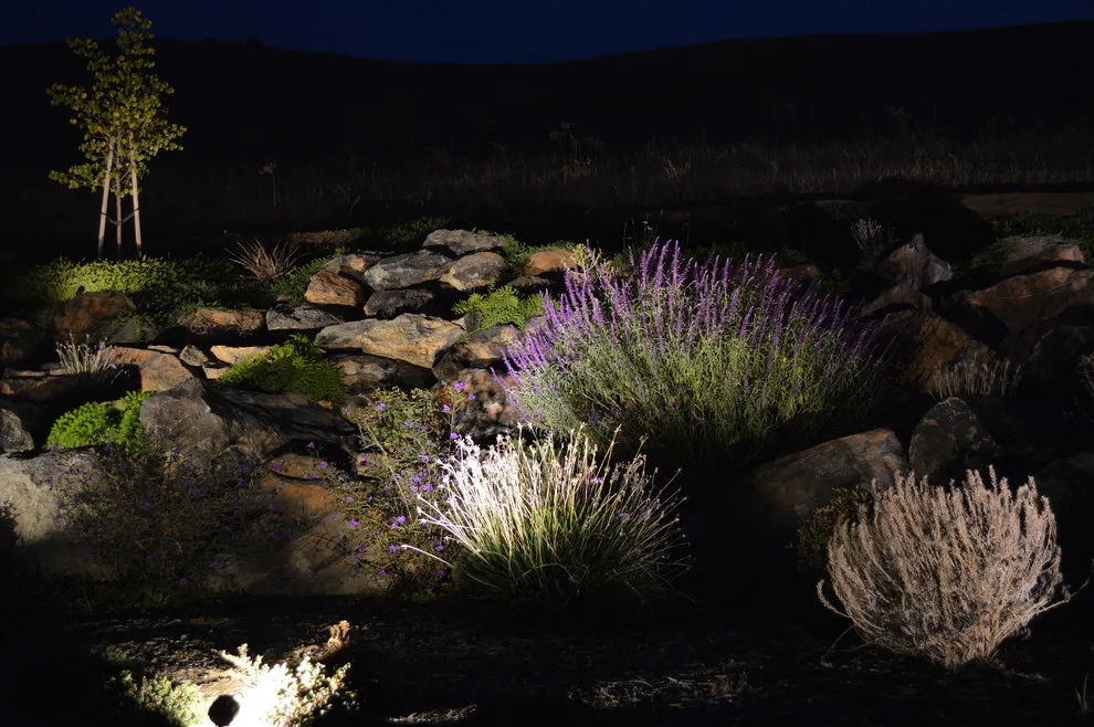 Outdoor Illumination by Kaylor Landscape + Christmas Decor - Photo 8