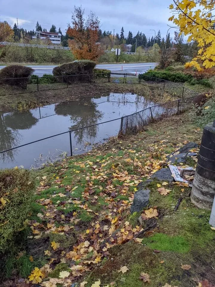Our Efforts by All Seasons Landscaping Of Mason County LLC - Photo 6