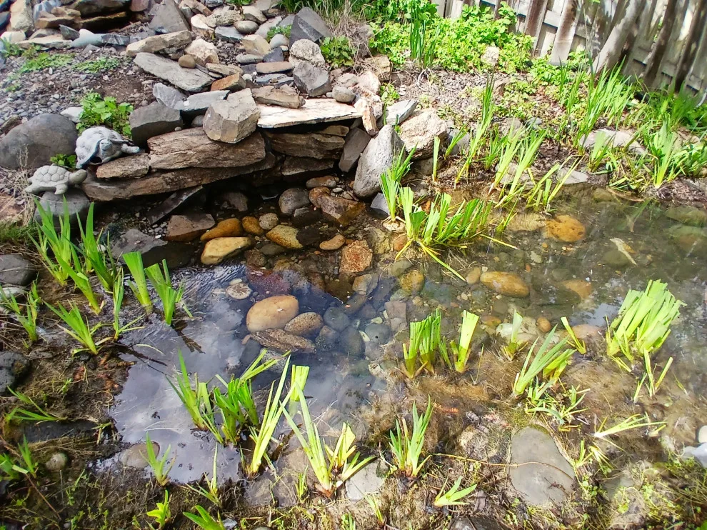 Promise Landscape LLC - Photo 5