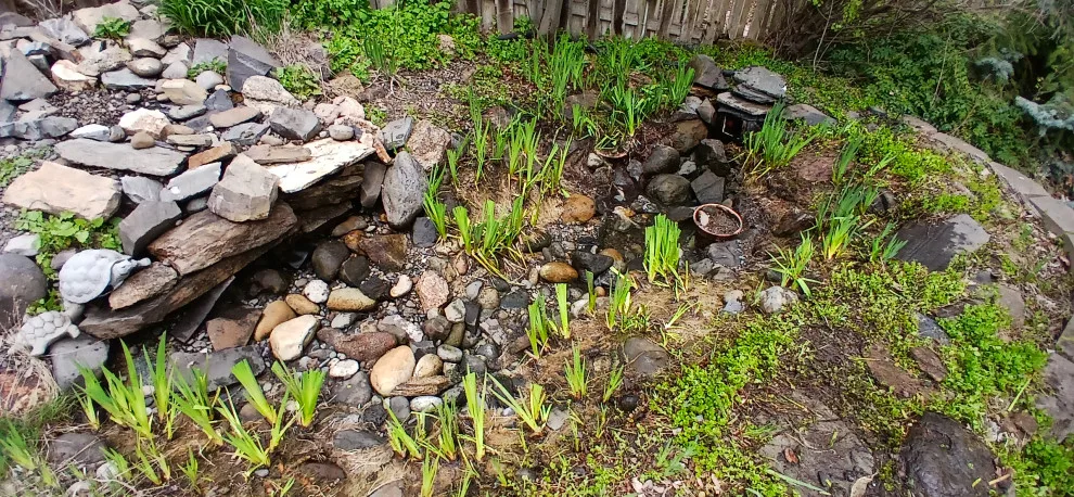 Promise Landscape LLC - Photo 13