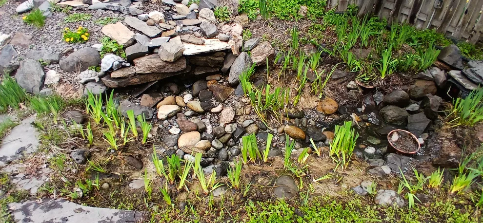Promise Landscape LLC - Photo 4