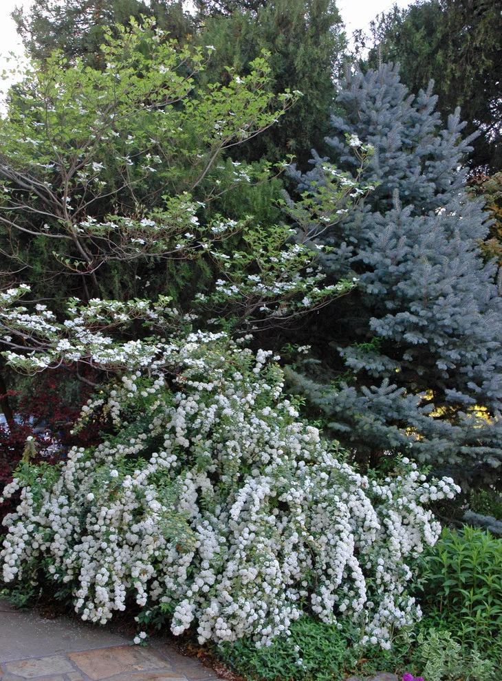 Botanical Recipes by Kingdom Landscape - Photo 5
