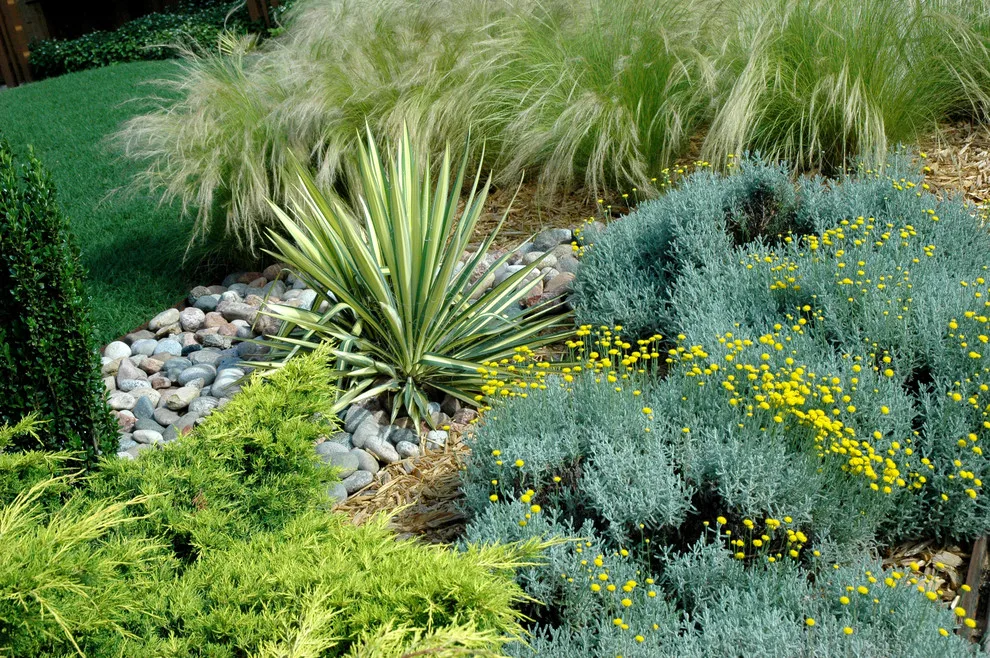 Botanical Recipes by Kingdom Landscape - Photo 4