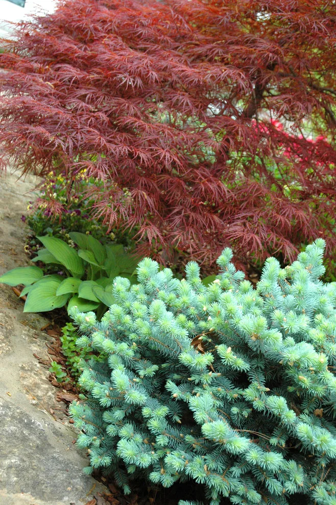 Botanical Recipes by Kingdom Landscape - Photo 6