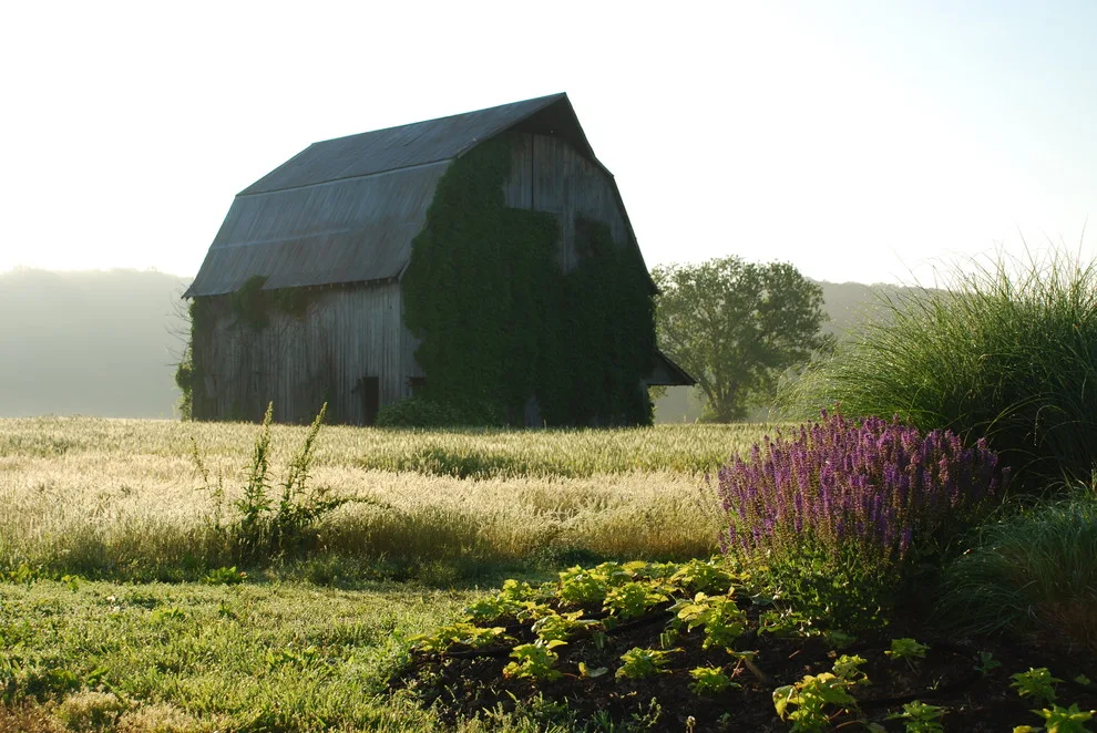 Ecological Sanctuary, Folk MO by Rost, Inc. - Photo 19