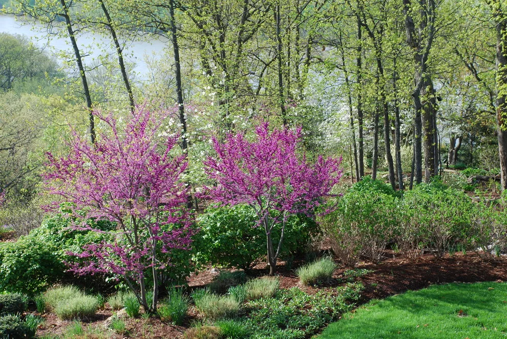 Ecological Sanctuary, Folk MO by Rost, Inc. - Photo 23