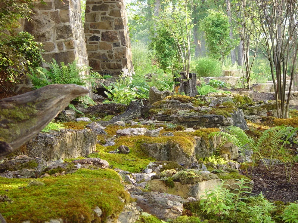 Ecological Sanctuary, Folk MO by Rost, Inc. - Photo 6