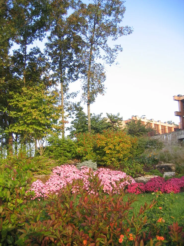Ecological Sanctuary, Folk MO by Rost, Inc. - Photo 18