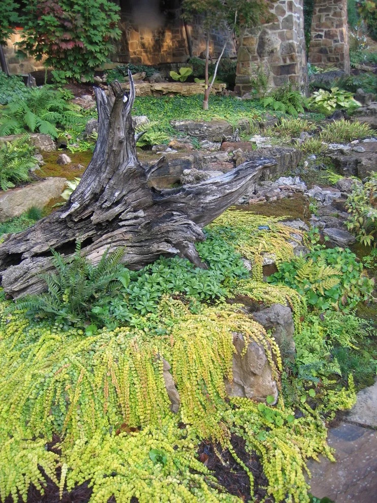 Ecological Sanctuary, Folk MO by Rost, Inc. - Photo 24