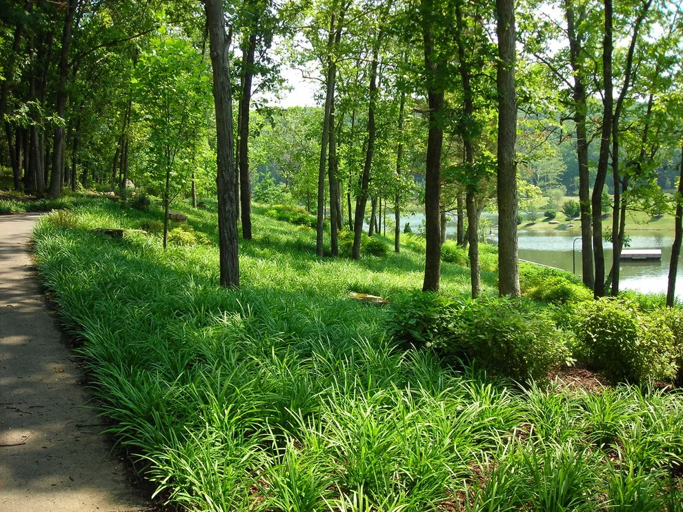 Ecological Sanctuary, Folk MO by Rost, Inc. - Photo 13