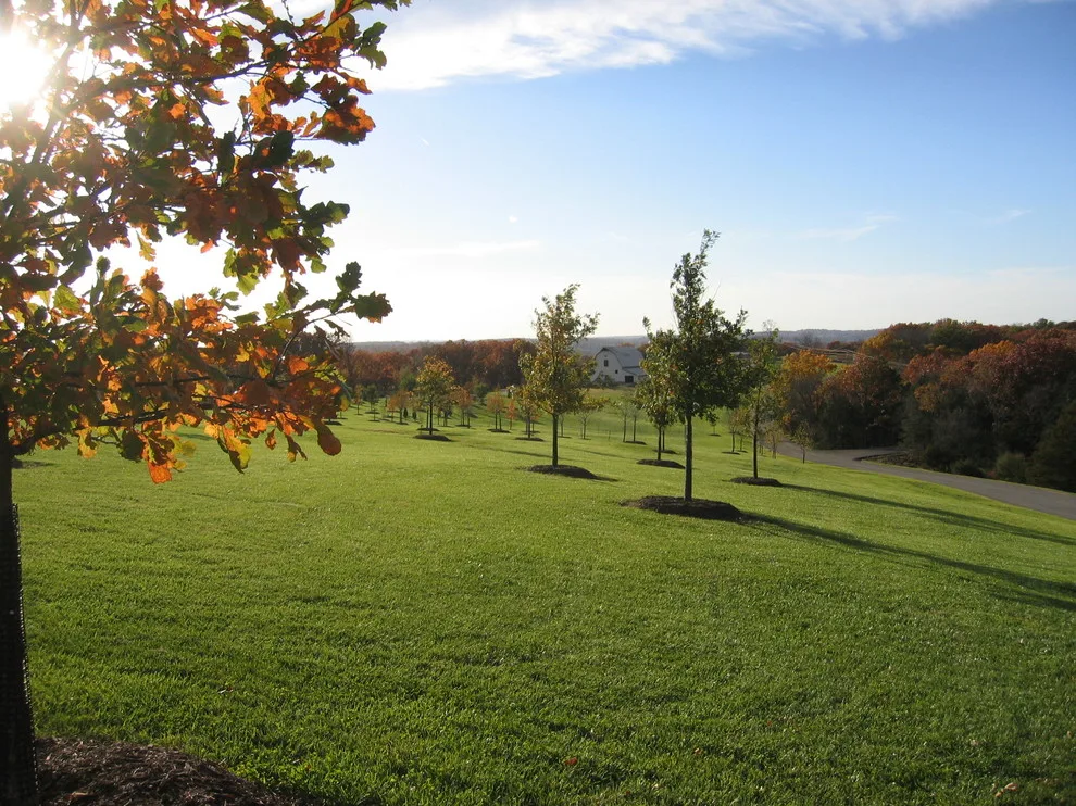 Lakefront Japanese Garden, Folk MO by Rost, Inc. - Photo 8
