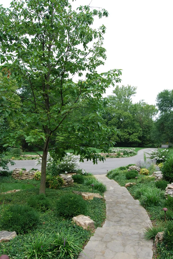 Stream Avenue by Landscapes By Dallas Foster, Inc - Photo 7