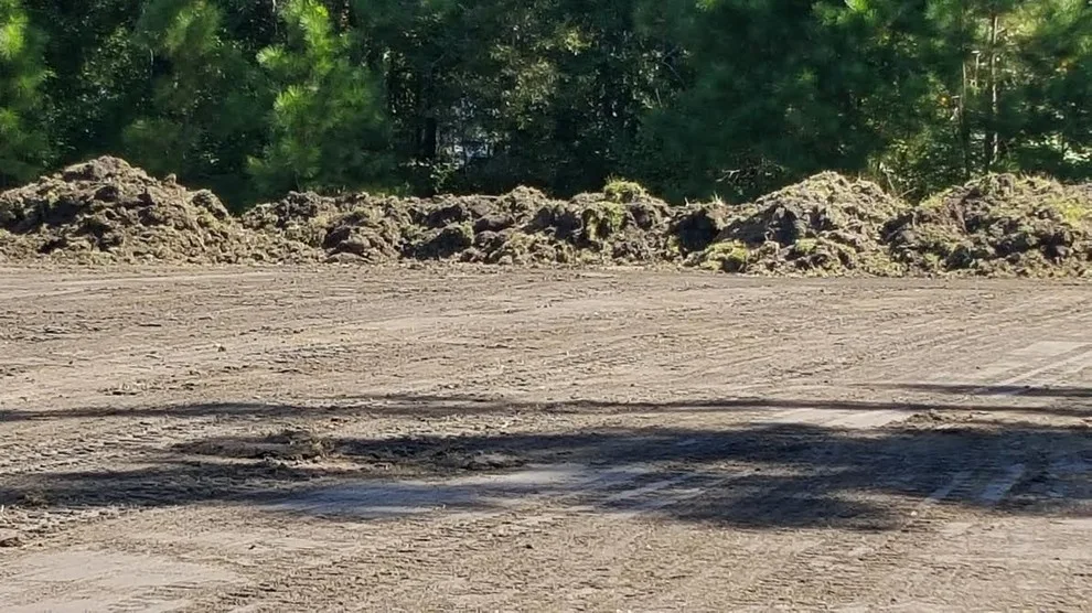 Elite Coastal Landscaping LLC - Photo 9