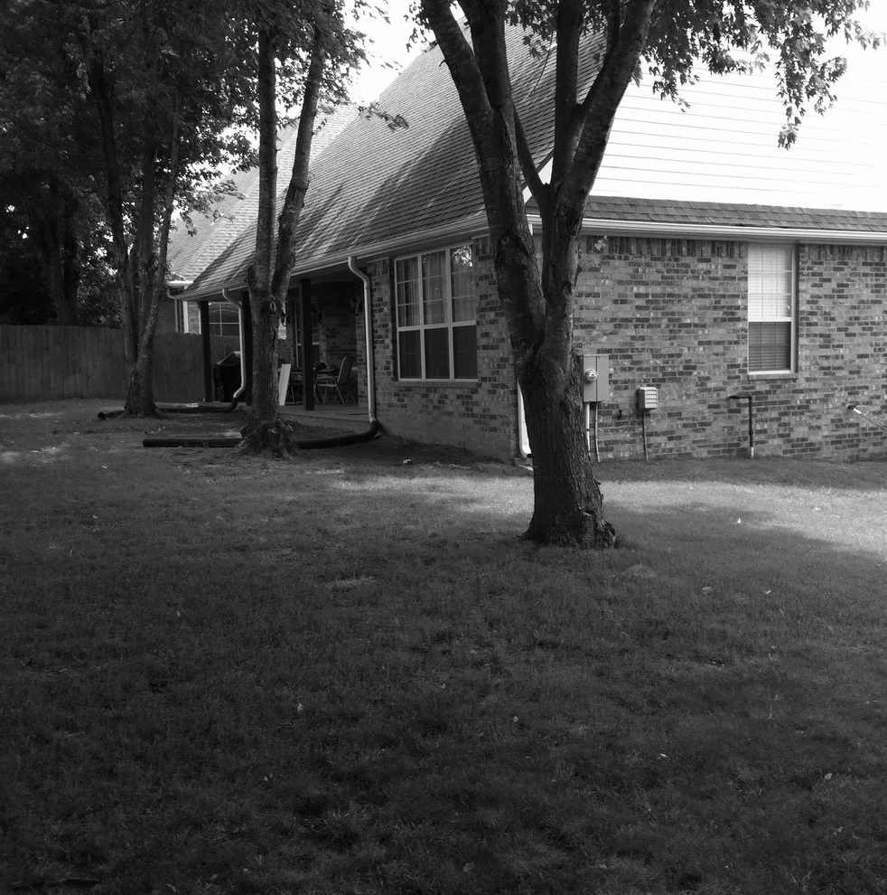 Springdale Home One by Professional Landscaping Company - Photo 3
